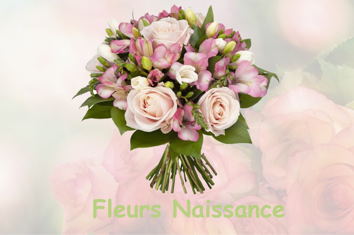 fleurs naissance LE-MASNAU-MASSUGUIES